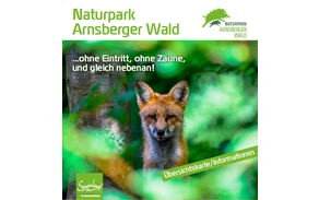 Flyer Naturpark Arnsberger Wald Naturpark Arnsberger Wald