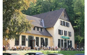 Waldwirtschaft, Warstein