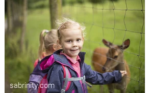 Kinder im Wildpark Bilsteintal