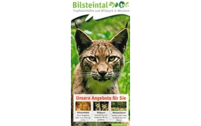 Bilsteintal