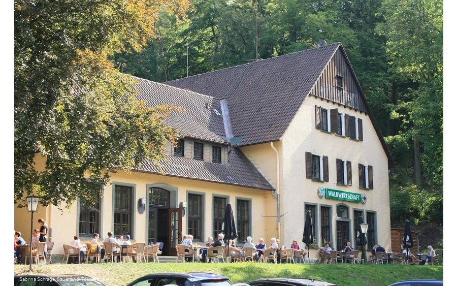 Waldwirtschaft, Warstein