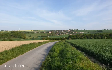 Blick auf Waldhausen