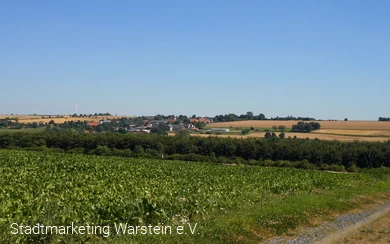 Blick auf den Haarstrang