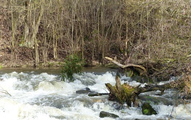 An der Niederbergheimer Schlacht
