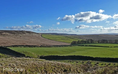 Der Rand des Moores bei Walshaw