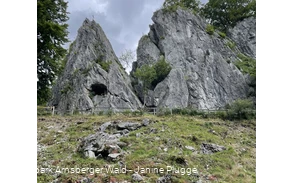 Wildpark Bilsteintal Warstein 