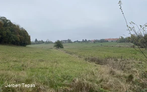 IMG_3464.JPG IMG_3464.JPG