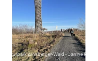 Lörmecketurm im Januar 