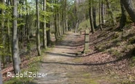 Weg zur Kapelle Weg zur Kapelle