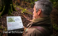 xx201117dsNaturparkArnsbergerWald-30.jpg
