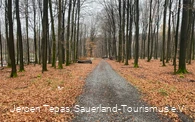 Forstweg
