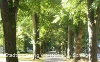 Weg im Park Weg im Park
