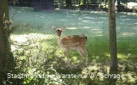 Tiergehege Tiergehege
