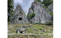 Wildpark Bilsteintal Warstein 