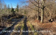 Trail Tour 47