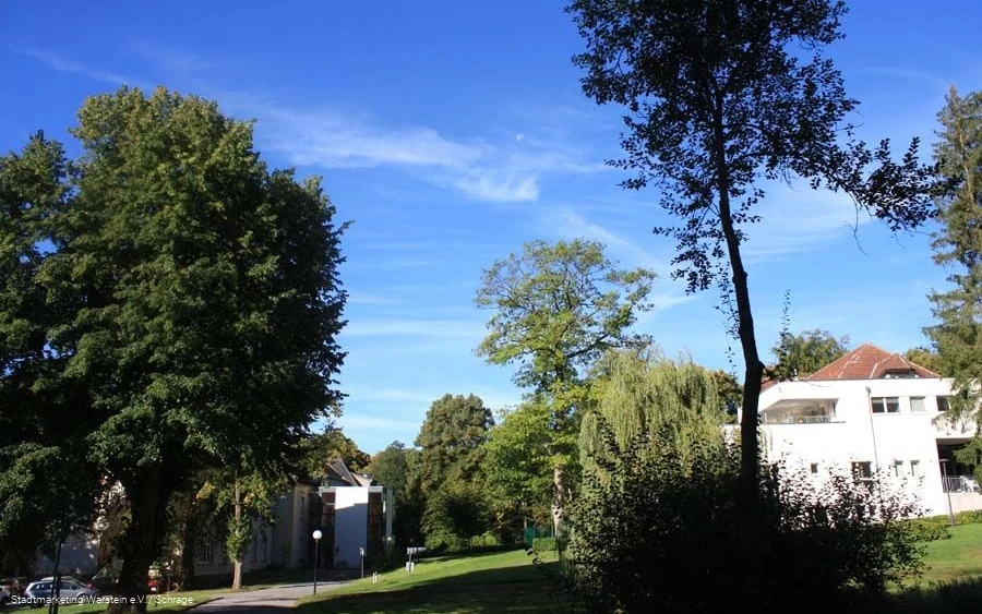 Im Park Im Park