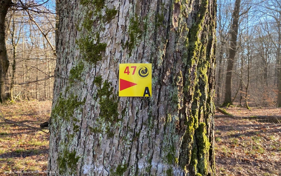 Runde A, mit insgesamt 11km, Tour47