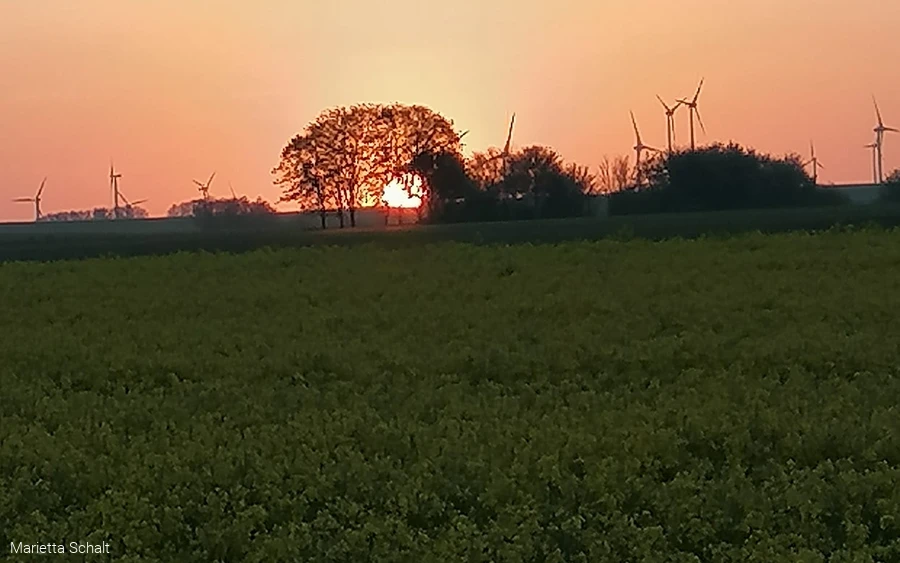 Sonnenaufgang Waldhausen