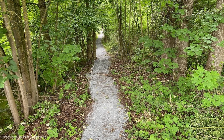 Rundwanderweg Haus Welschenbeck