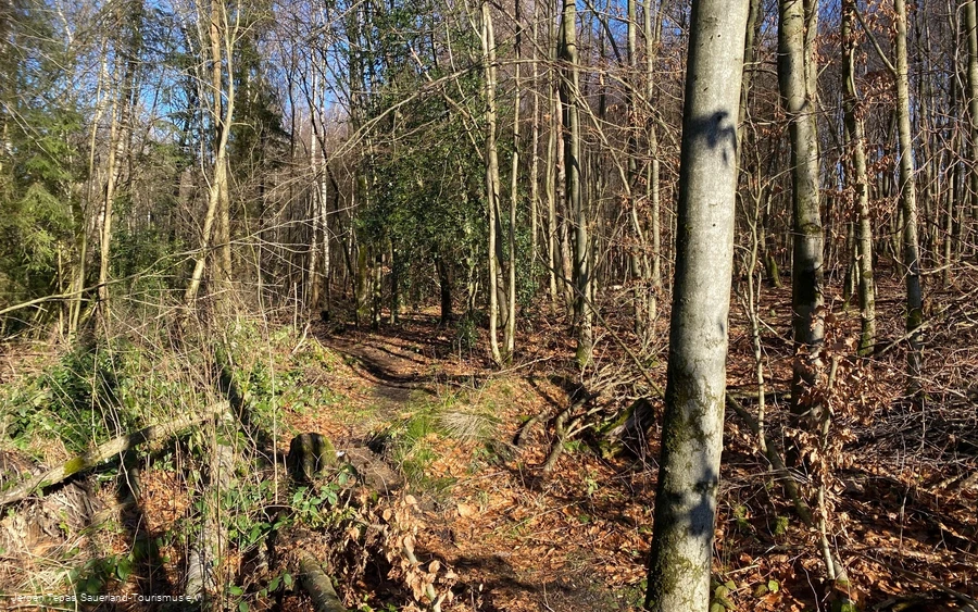 Trail Tour 47