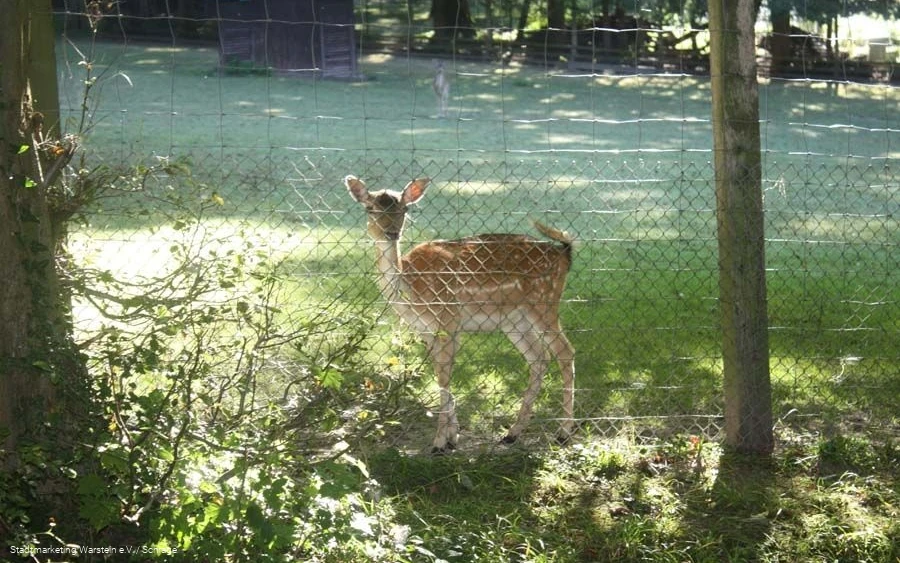 Tiergehege Tiergehege