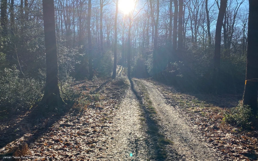 Anstiegt zum Püstelberg