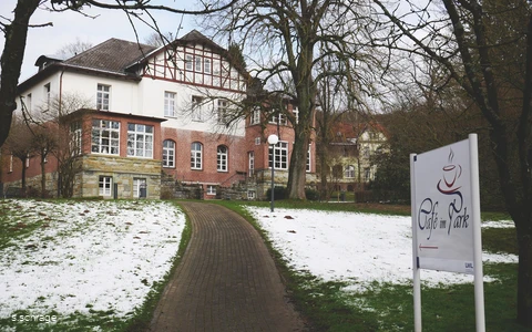 cafe im park.jpg