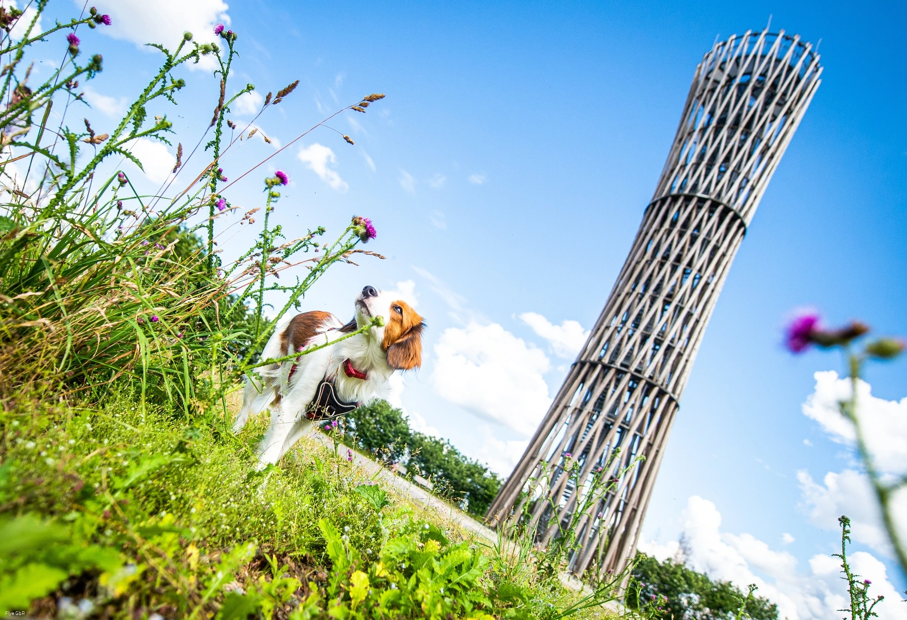 Lörmecketurm