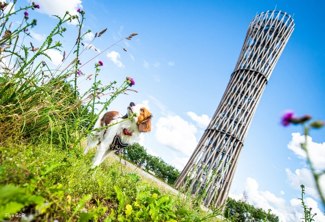Lörmecketurm Lörmecketurm