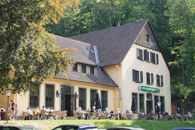 Waldwirtschaft, Warstein